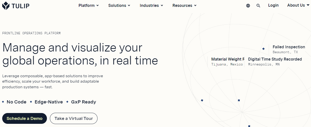 tulip